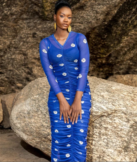 Yeside Laguda Odioma Mesh V neck long Dress