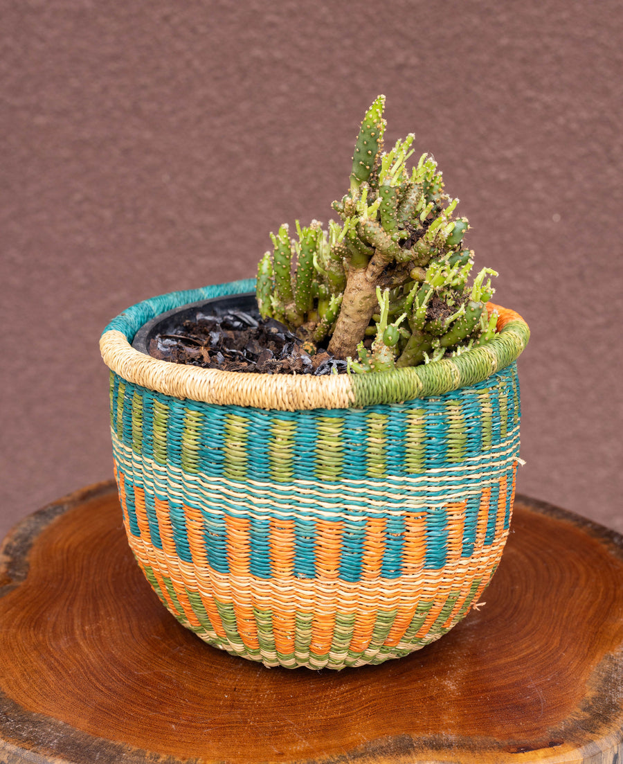 Small African Hand-woven Pot planter and storage basket