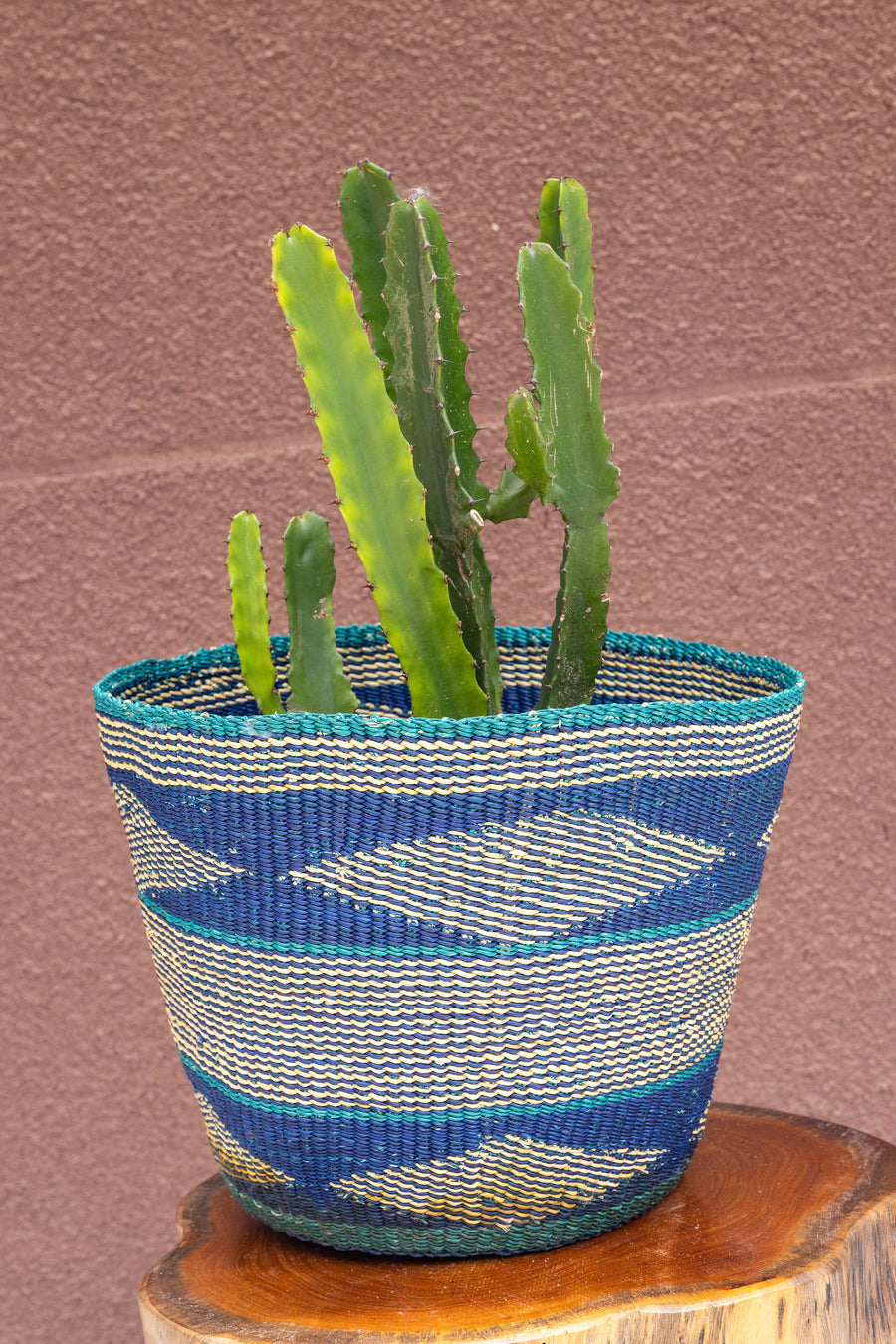 Hand-woven African Plant and storage basket