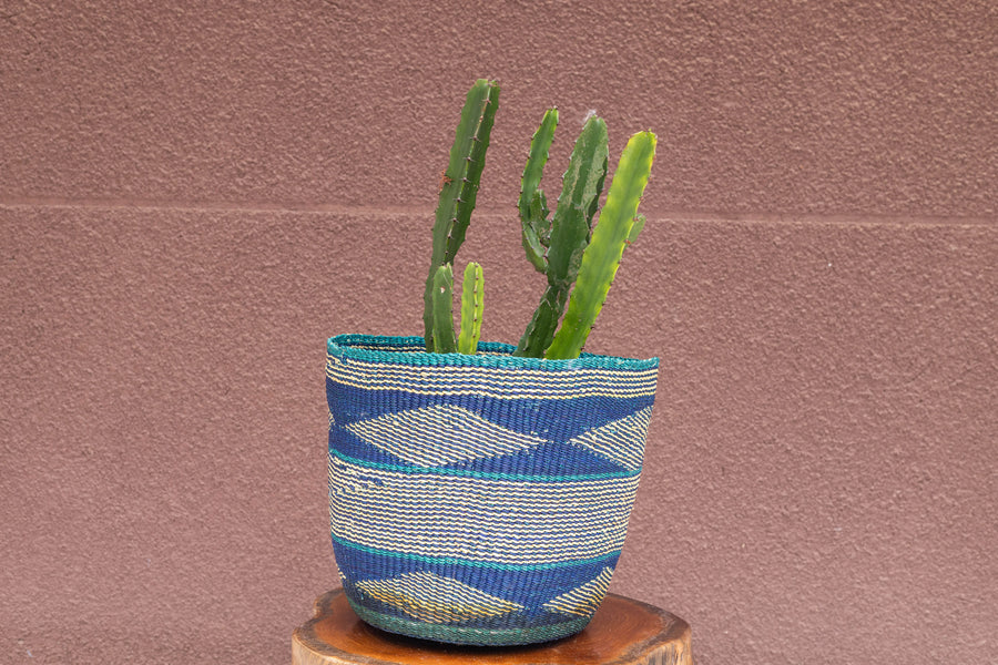 Hand-woven African Plant and storage basket