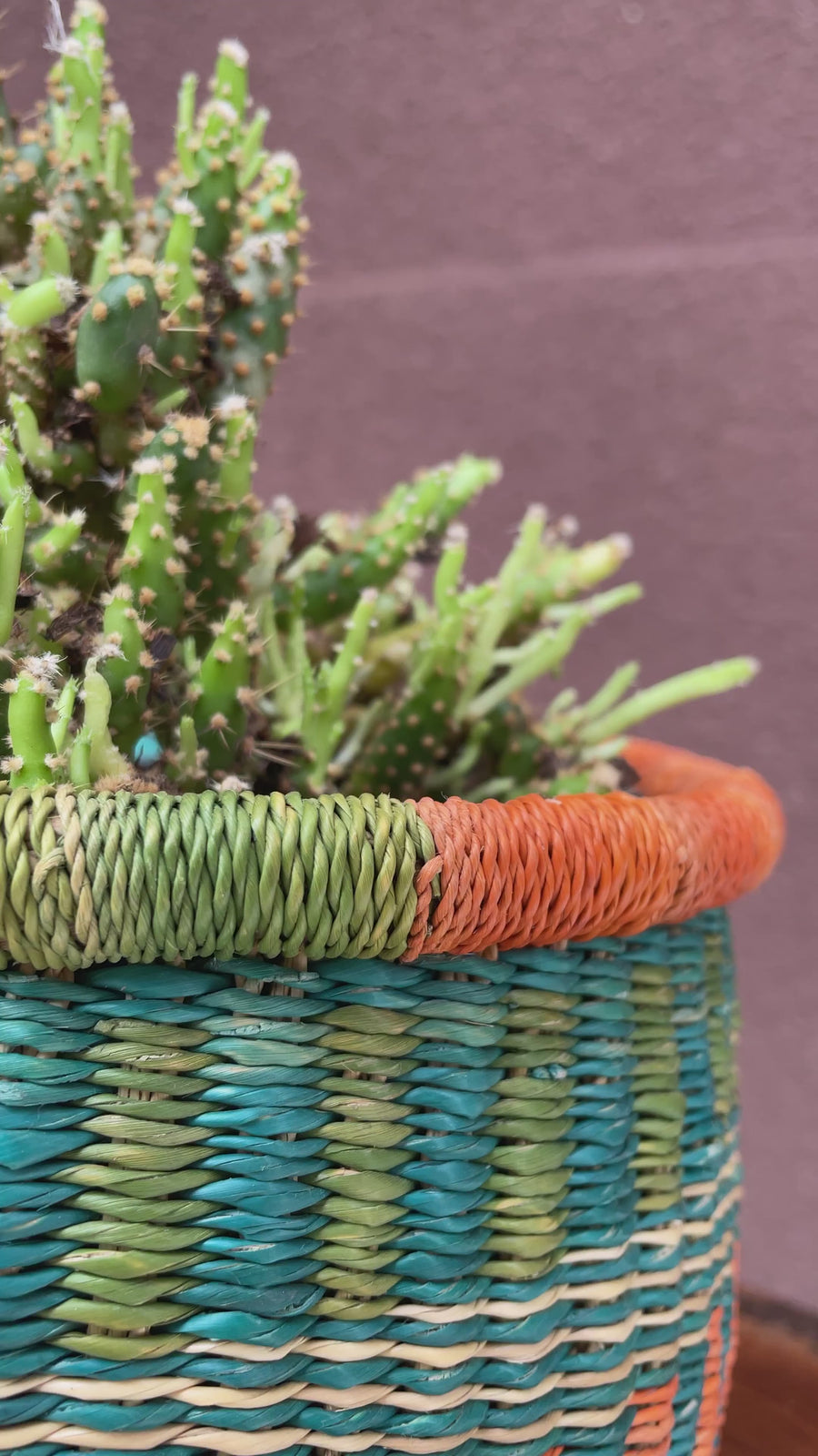 Small African Hand-woven Pot planter and storage basket