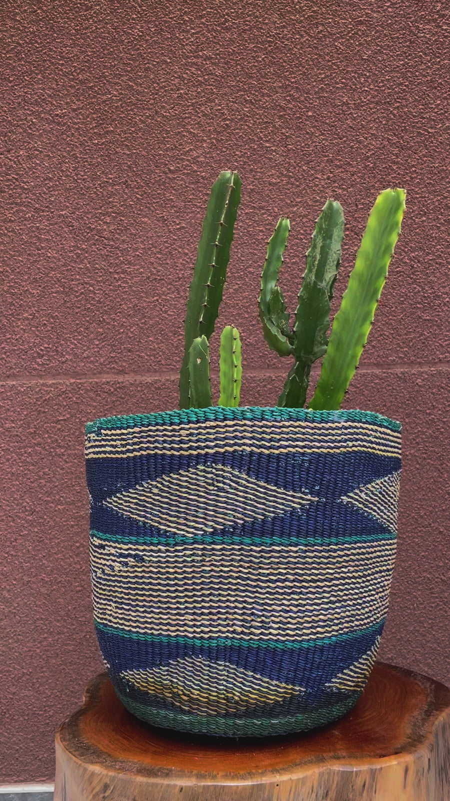 Hand-woven African Plant and storage basket