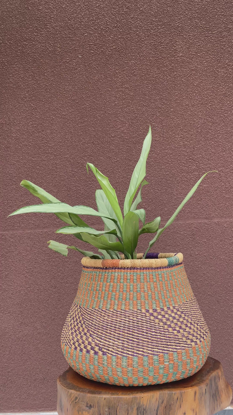 Large Checkerboard handcrafted Pot Flower and Plant Basket